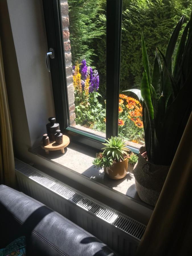 Boutique Apartments Benz I-Iii Bergisch Gladbach Dış mekan fotoğraf